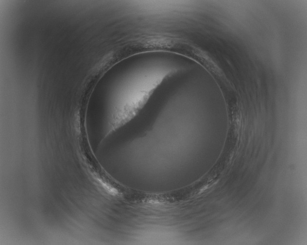 X0000072920729200607211100