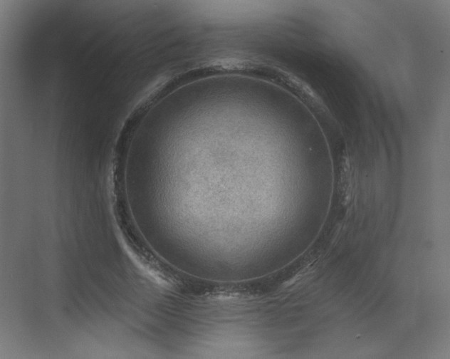 X0000072920730200607211100