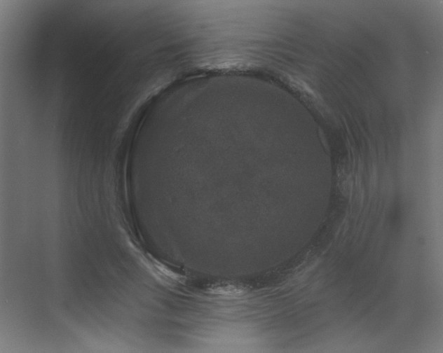 X0000072920735200607211100