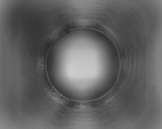 X0000072920737200607211100