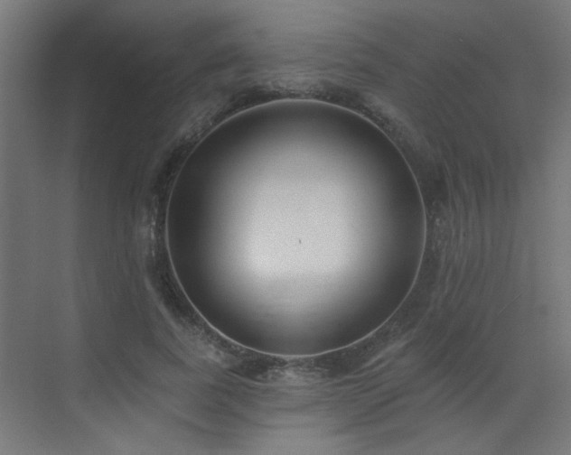 X0000072920739200607211100