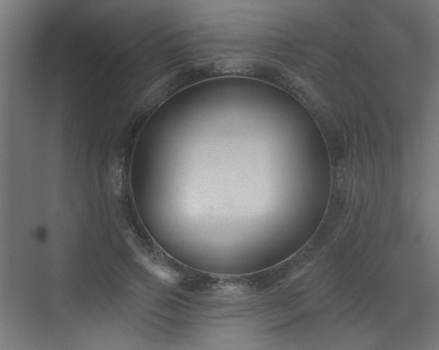 X0000072920741200607211100