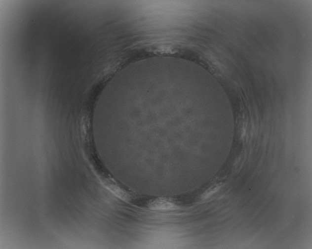 X0000072920747200607211100
