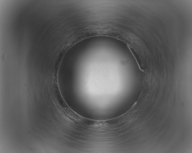 X0000072920752200607211101