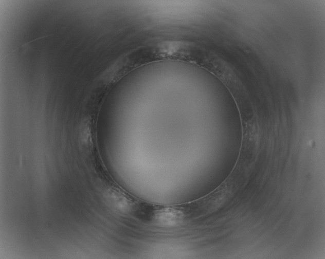 X0000072920754200607211101