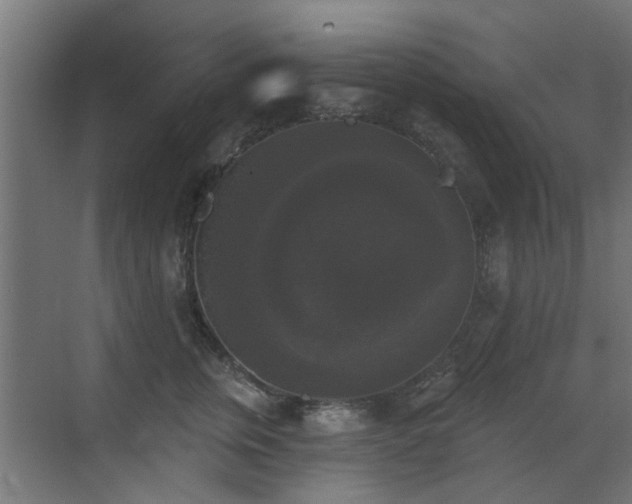 X0000072920759200607211101