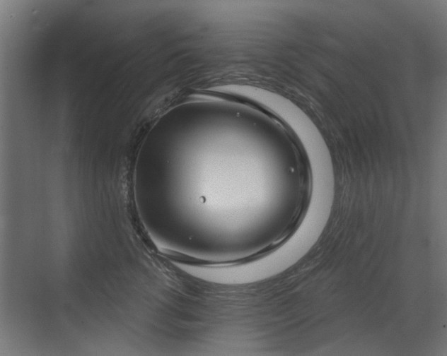 X0000072920762200607211101