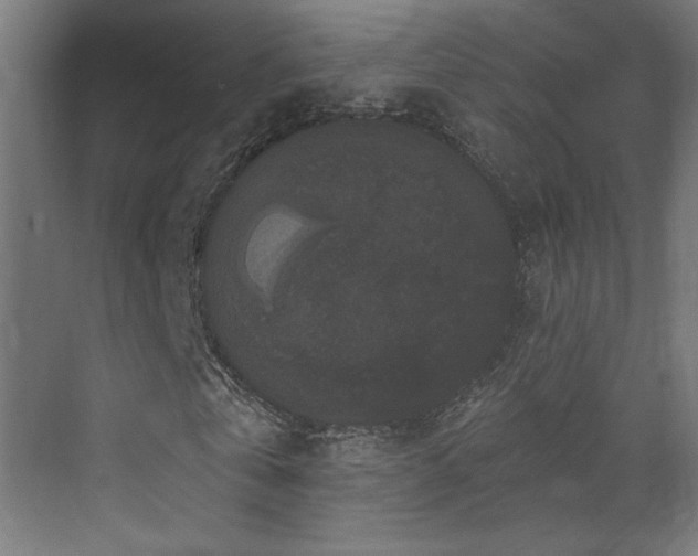 X0000072920769200607211100