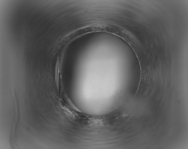X0000072920773200607211100
