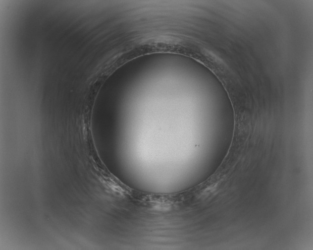 X0000072920774200607211100
