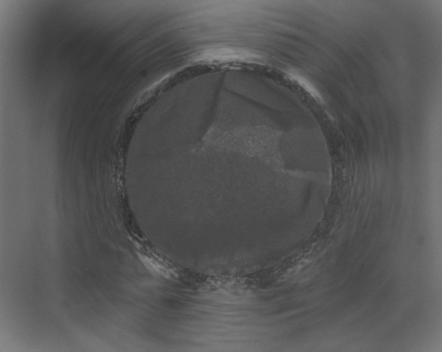 X0000072920775200607211100