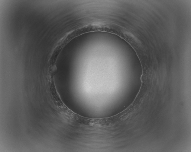 X0000072920776200607211100