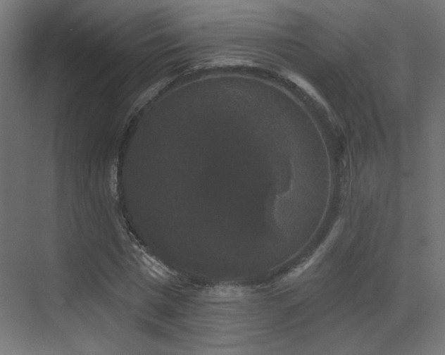 X0000072920777200607211100