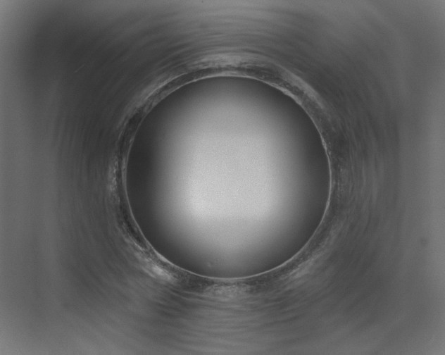 X0000072920778200607211100