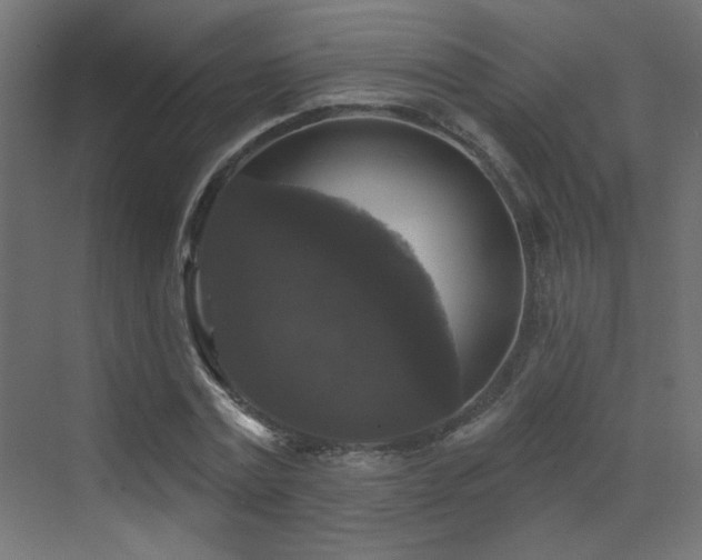 X0000072920779200607211100