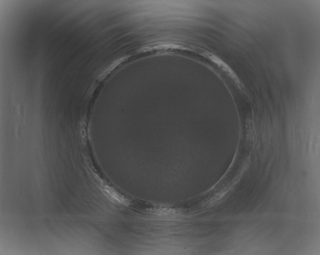 X0000072920785200607211100
