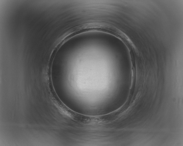 X0000072920786200607211100