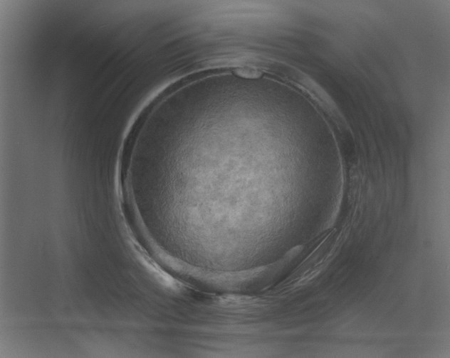 X0000072920788200607211100