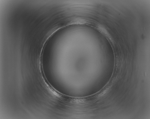 X0000072920802200607211059