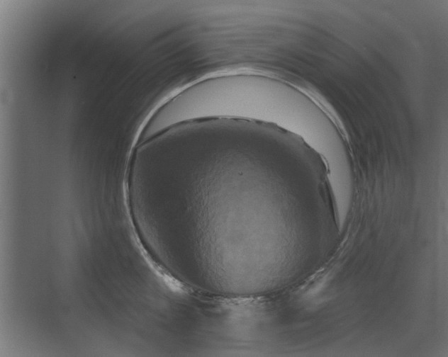 X0000072920813200607211059