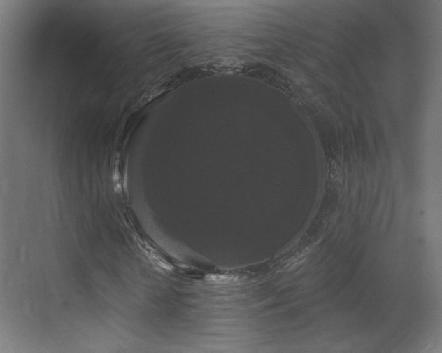X0000072920818200607211058
