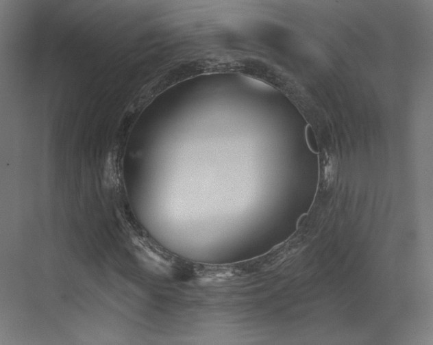 X0000072920819200607211058