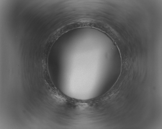 X0000072920821200607211058