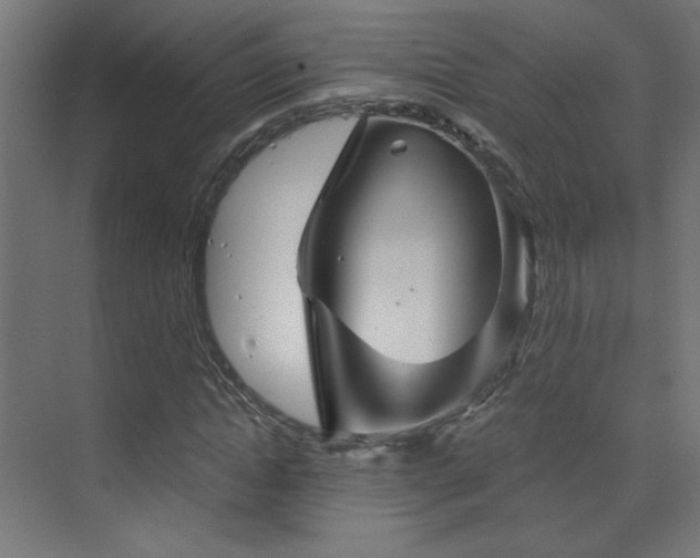 X0000072920822200607211058