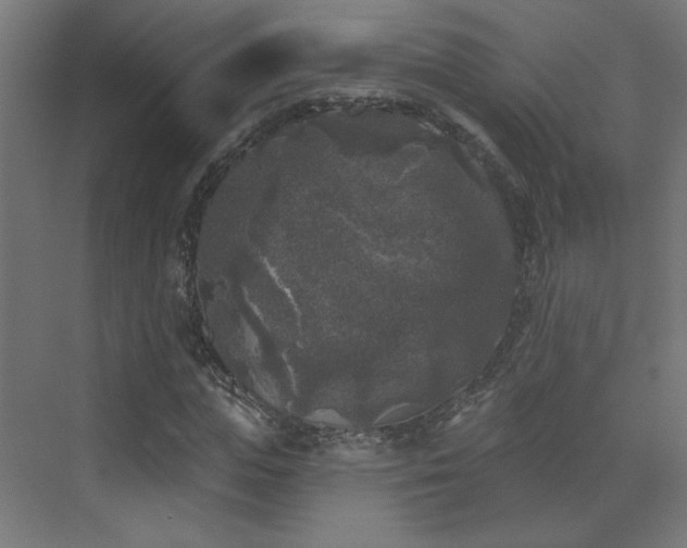 X0000072920823200607211059