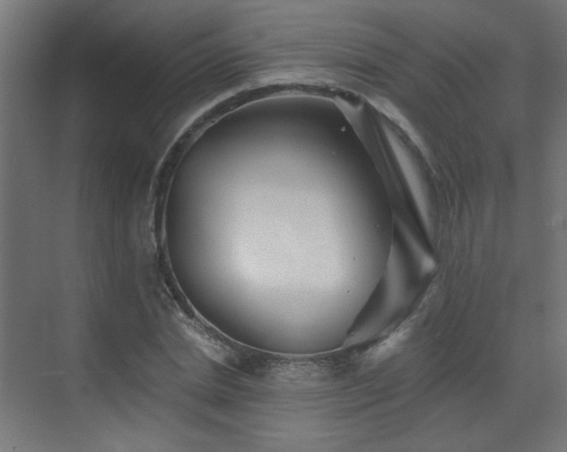 X0000072920830200607211059
