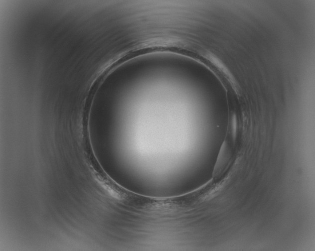 X0000072920834200607211059
