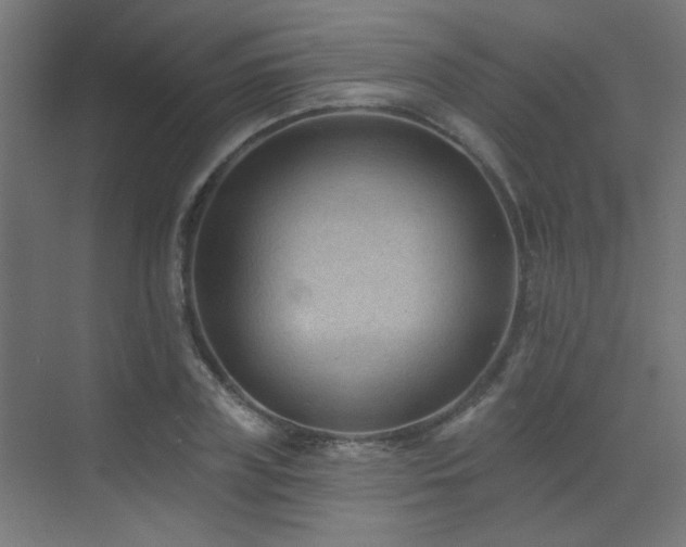 X0000072920835200607211059