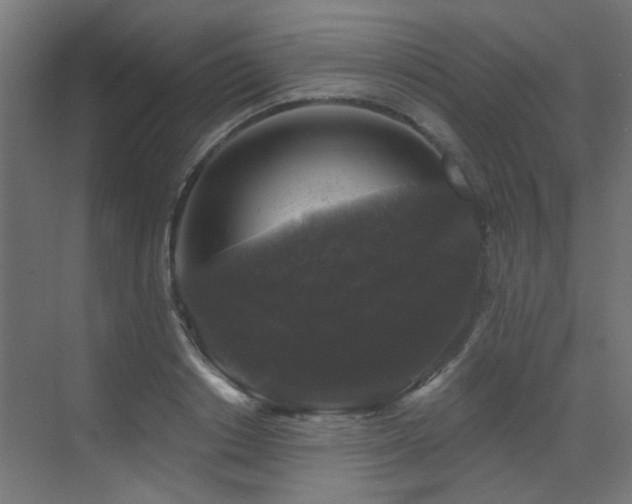 X0000072920842200607211059