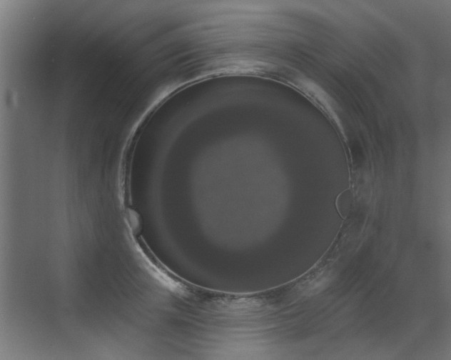 X0000072920851200607211059
