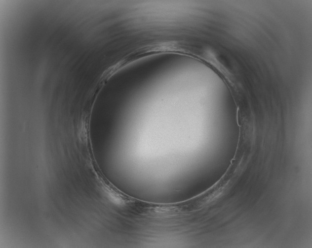 X0000072920857200607211059
