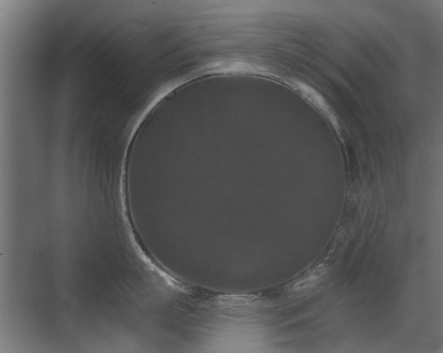 X0000072920863200607211059