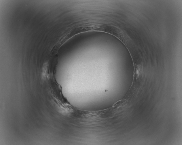 X0000072920867200607211058