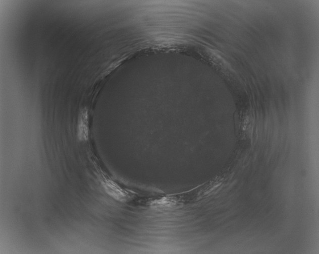 X0000072920868200607211058