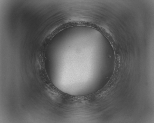 X0000072920871200607211058