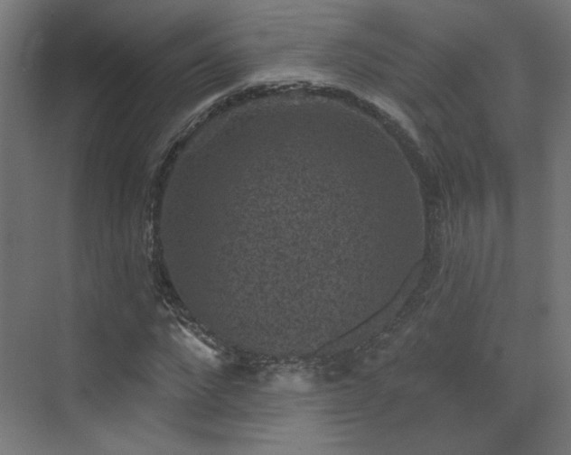 X0000072920872200607211058