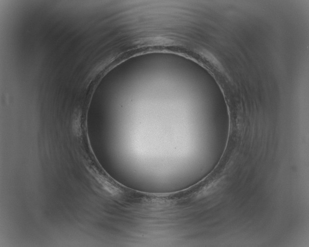 X0000072920873200607211058