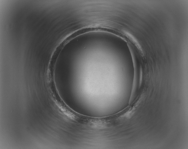 X0000072920876200607211058
