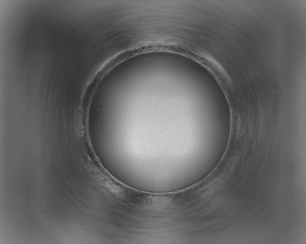 X0000072920878200607211058