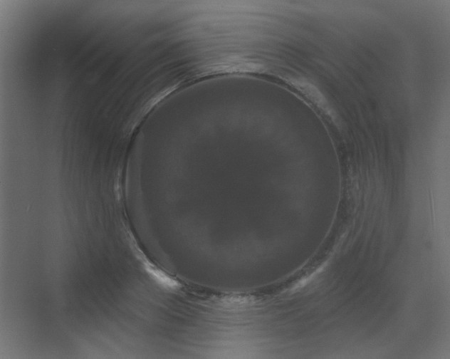 X0000072920889200607211058