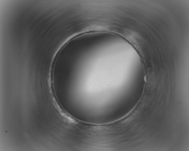 X0000072920904200607211058