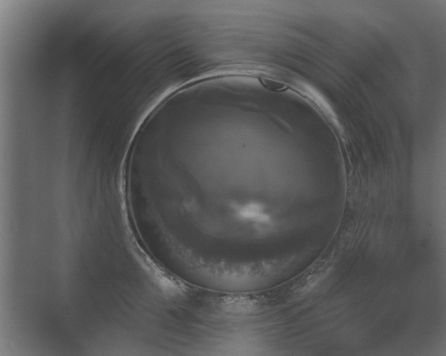 X0000072920907200607211058