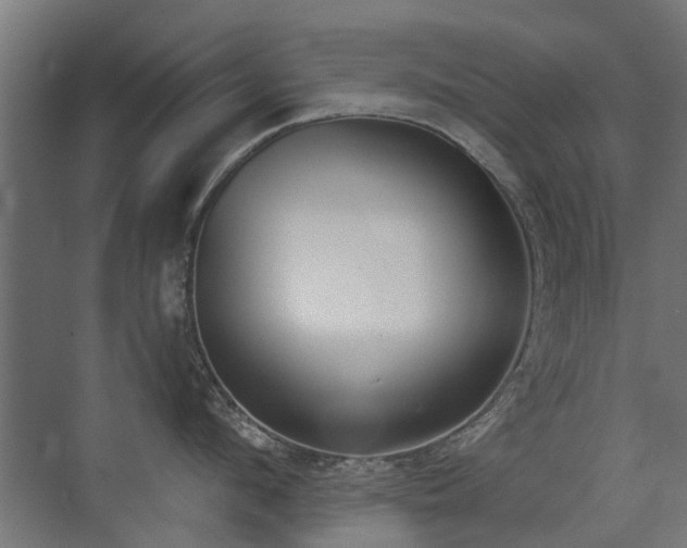 X0000072920912200607211058