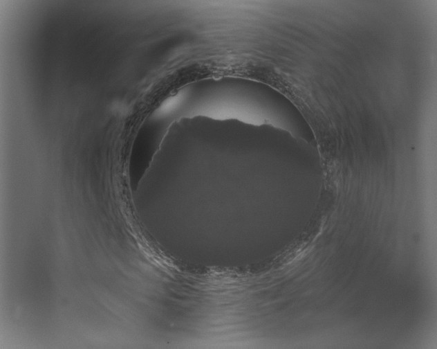 X0000072920913200607211057