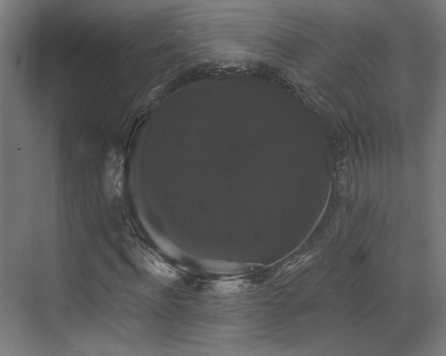 X0000072920916200607211057