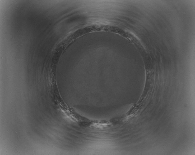 X0000072920919200607211057
